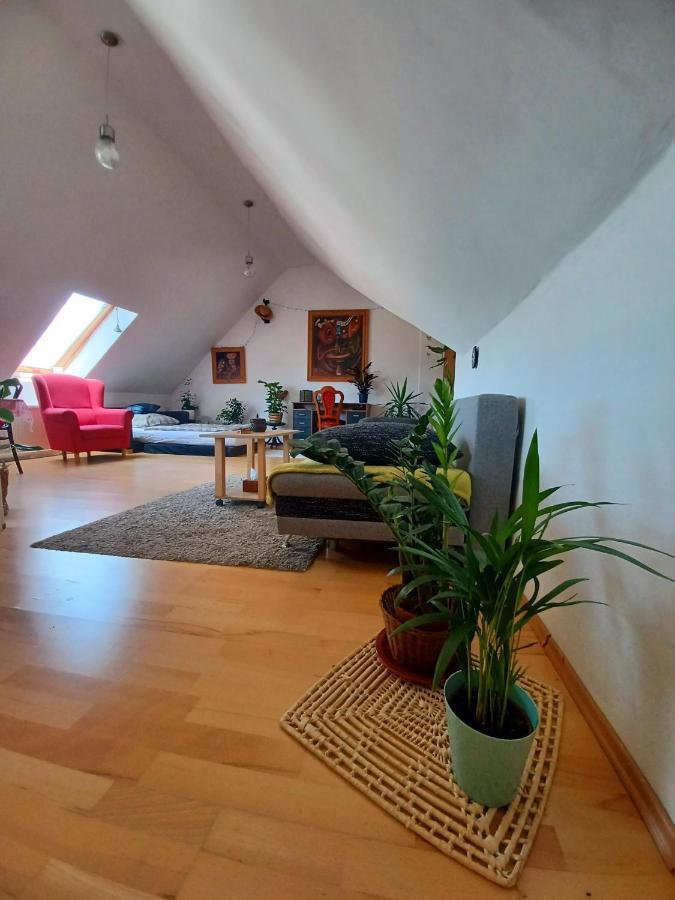 Artist Apartment Банска-Бистрица Экстерьер фото